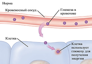 Поперечное сечение кровеносного сосуда и клеток, показывающих нормальный уровень глюкозы.